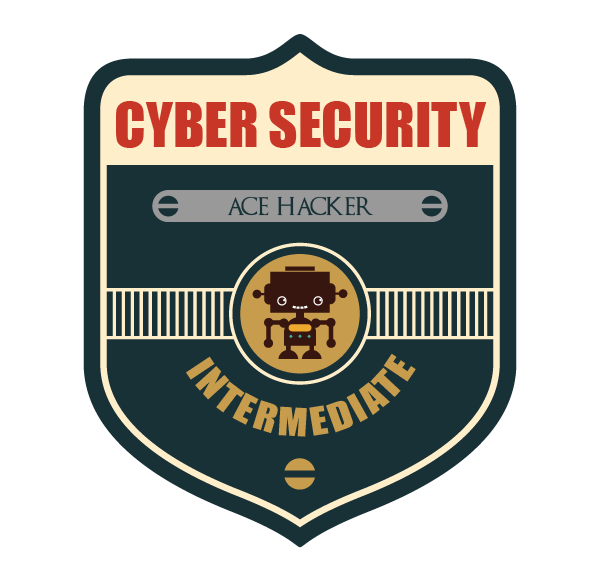 Intermediate Cyber Security