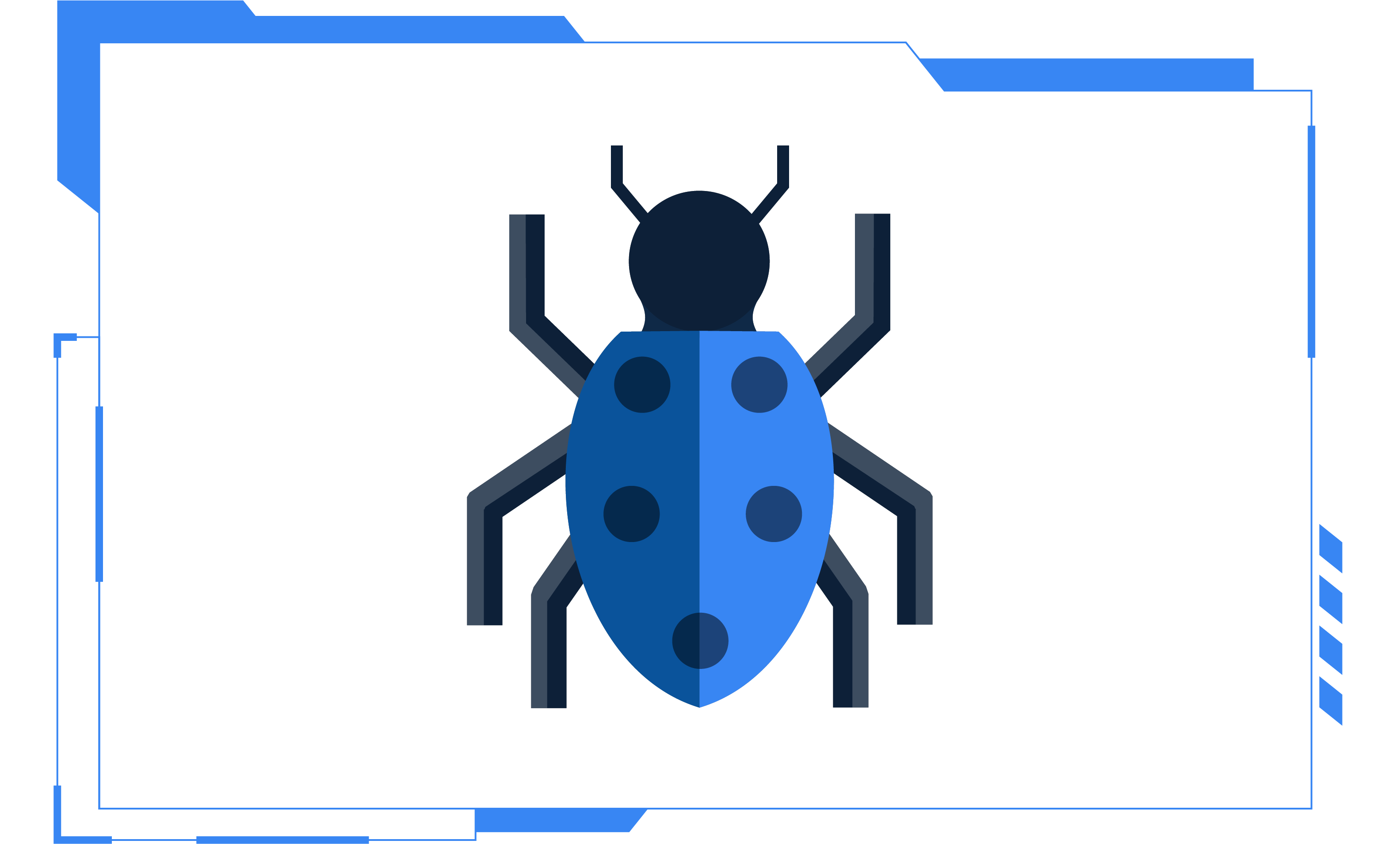 Bug Bounty