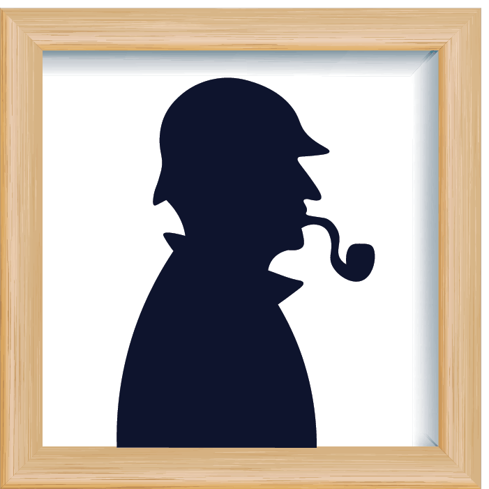 Sherlock and I: A course on Data Analytics and Data Science